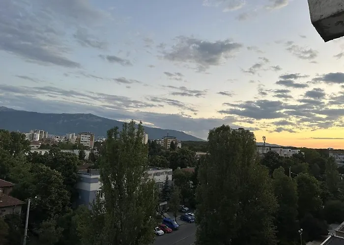 Sunny Sofia Studio #1